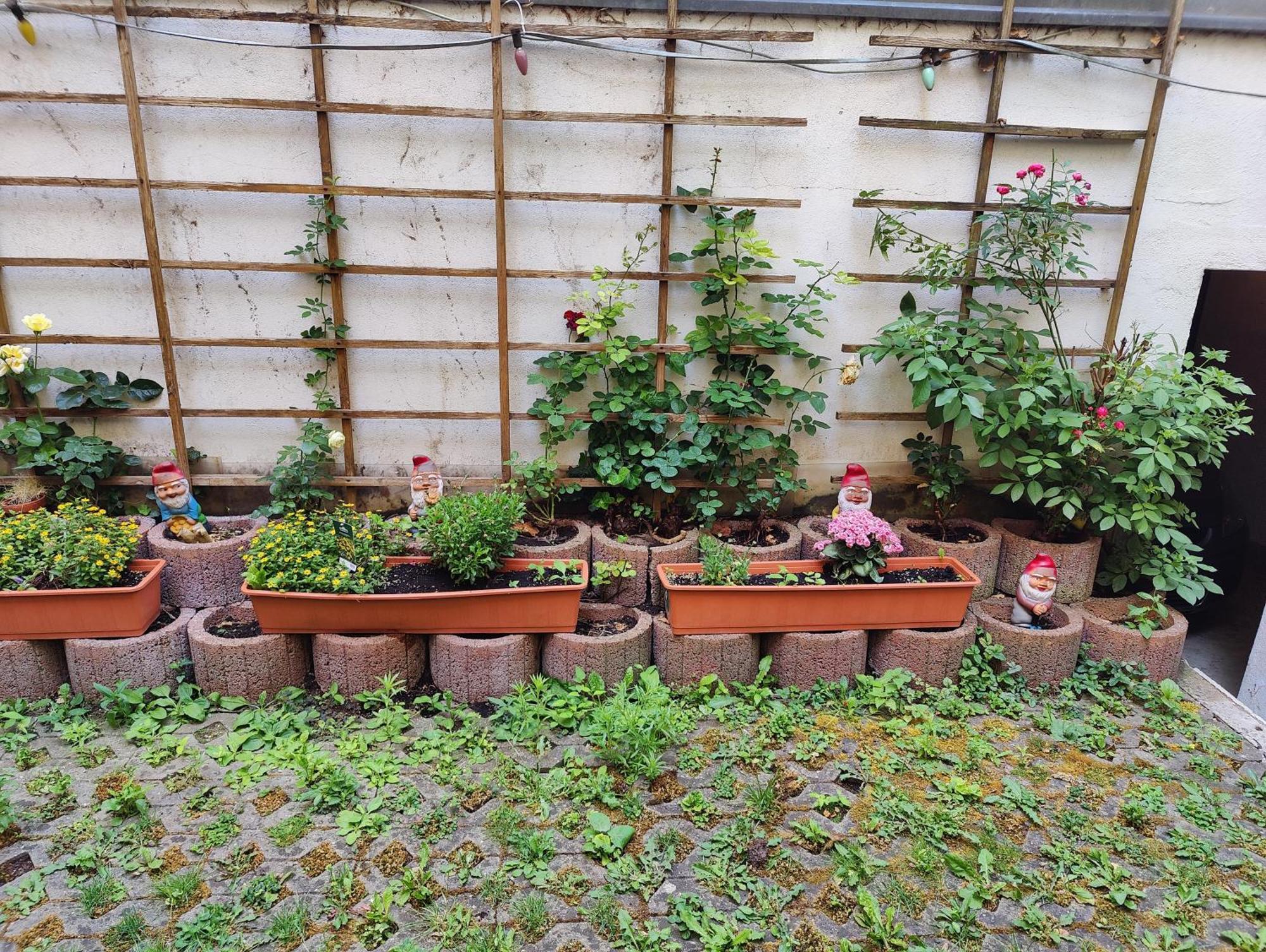 Ferienwohnung Alte Stadtmauer 巴姆贝格 外观 照片
